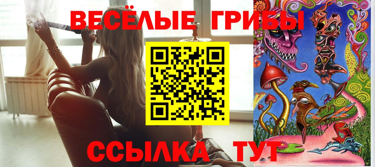 Галлюциногенные грибы Psilocybine cubensis  Вход с VPN  Ликино-Дулёво 