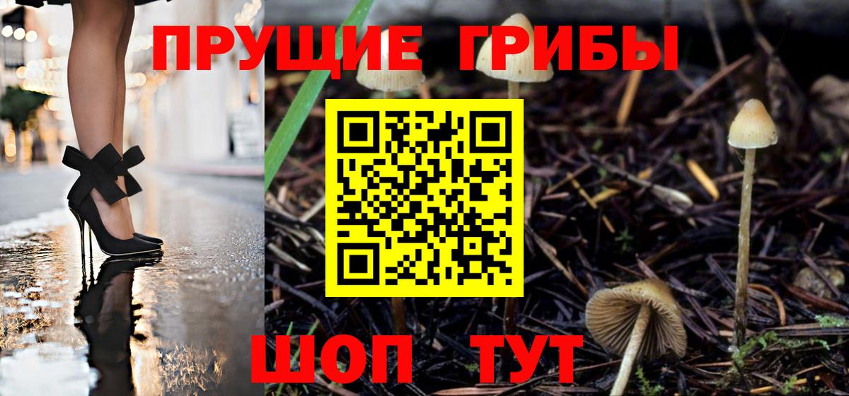Псилоцибиновые грибы мицелий Ликино-Дулёво