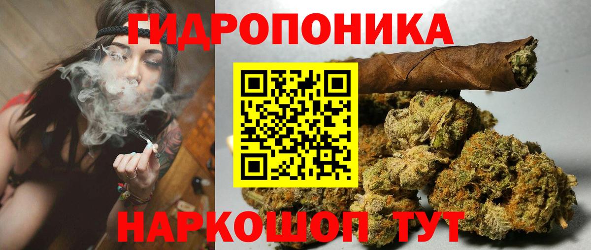 Конопля сатива Ликино-Дулёво